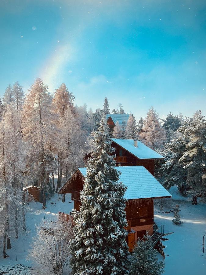 Ferienwohnung La Joue Du Loup, Aux Pieds Des Pistes Et Vue Sur Montagnes Exterior foto